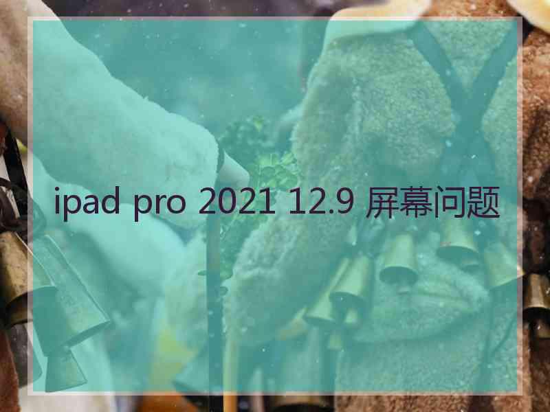 ipad pro 2021 12.9 屏幕问题