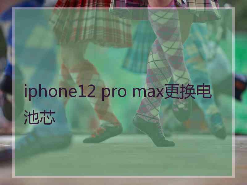 iphone12 pro max更换电池芯