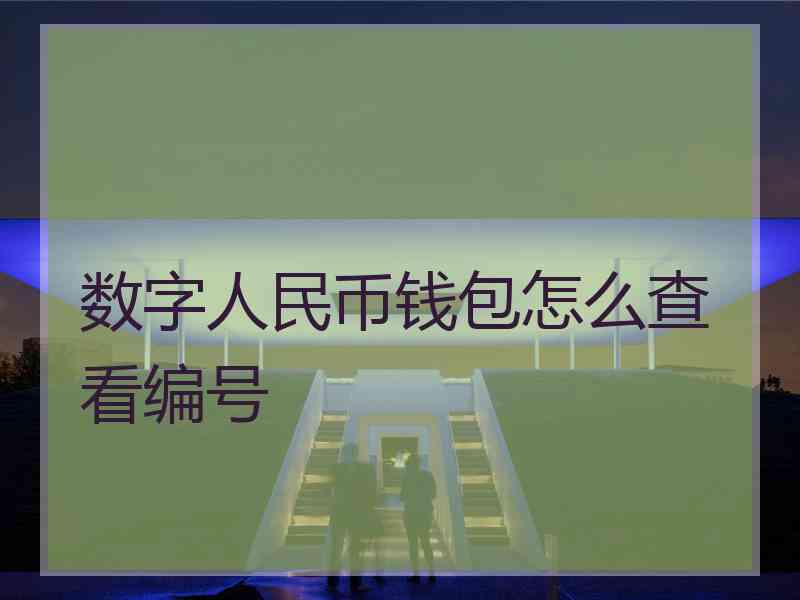 数字人民币钱包怎么查看编号