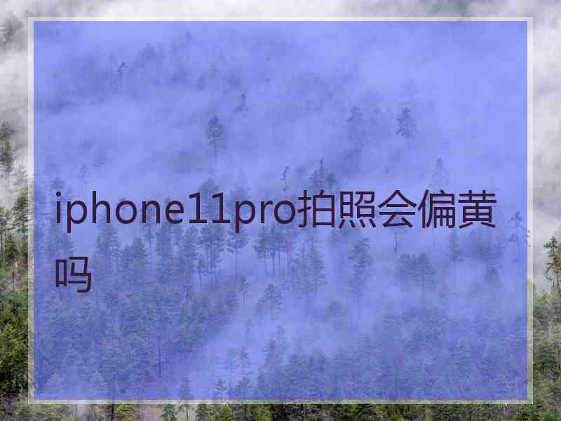 iphone11pro拍照会偏黄吗