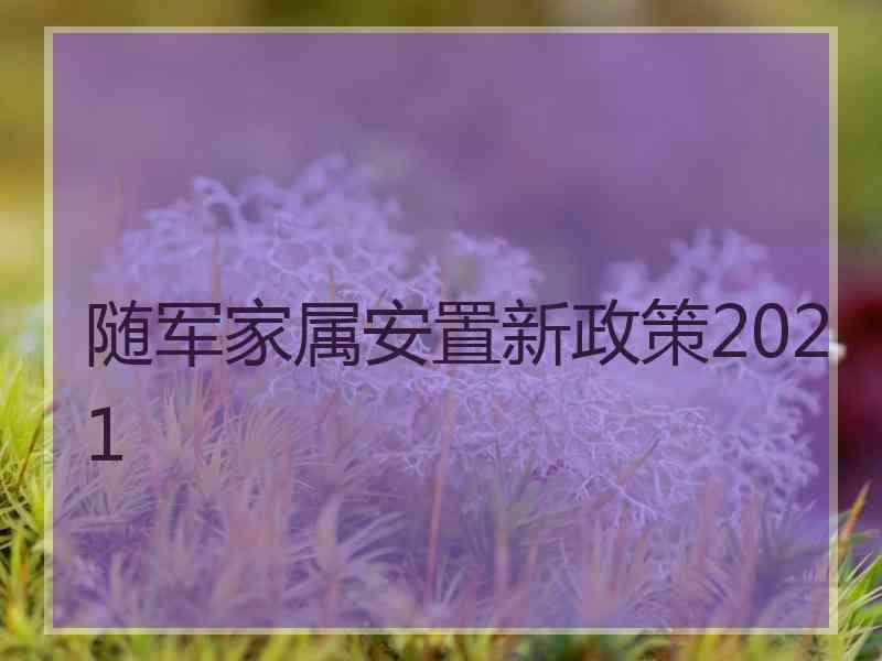 随军家属安置新政策2021