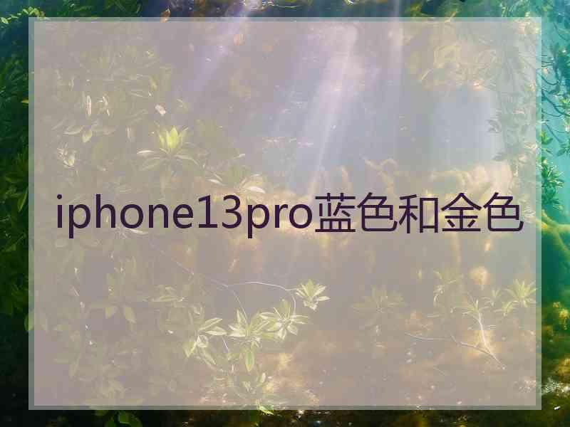 iphone13pro蓝色和金色