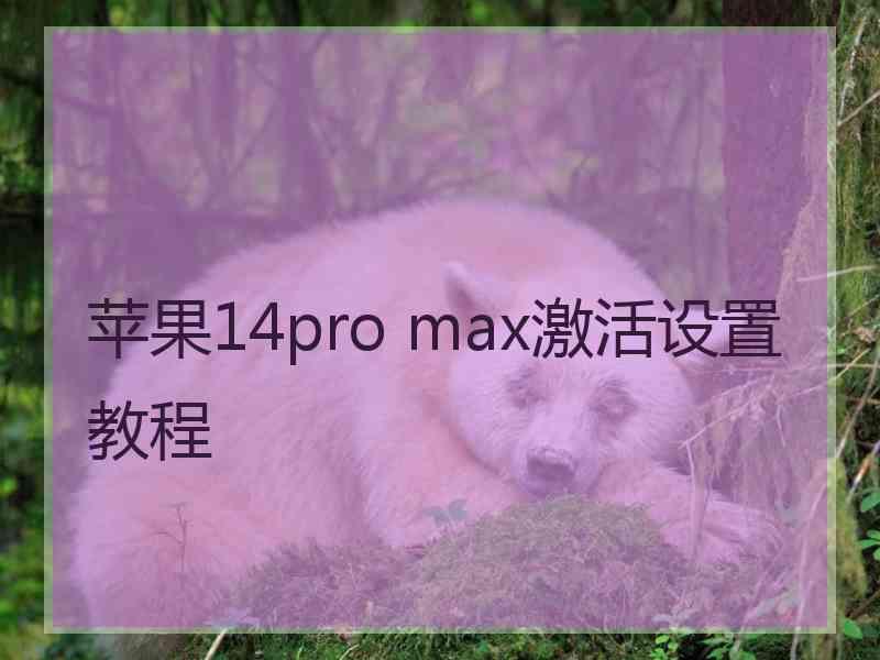 苹果14pro max激活设置教程