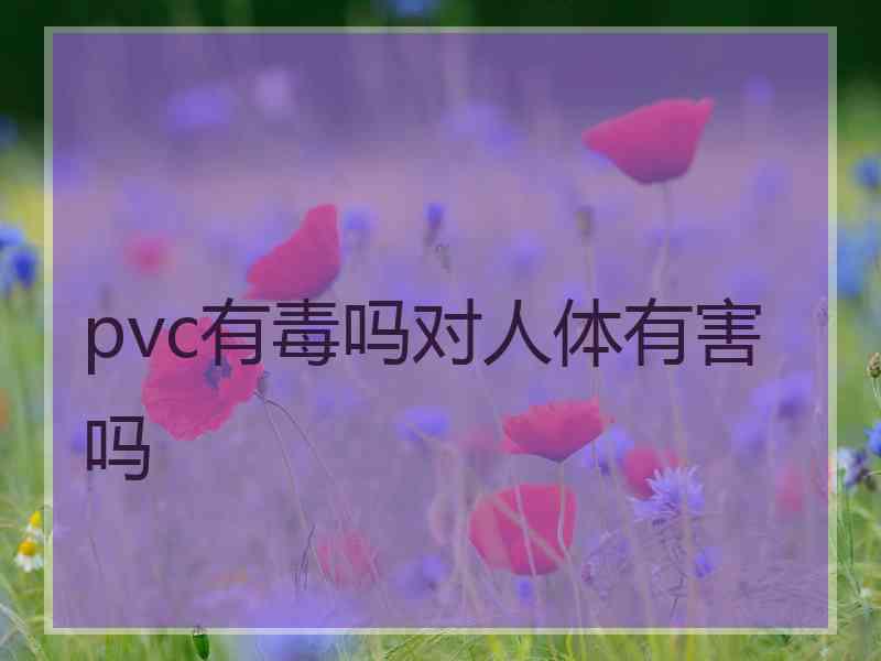 pvc有毒吗对人体有害吗