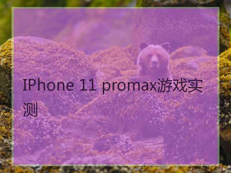 IPhone 11 promax游戏实测