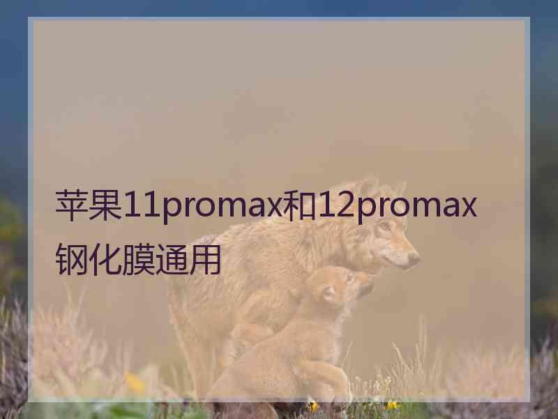 苹果11promax和12promax钢化膜通用