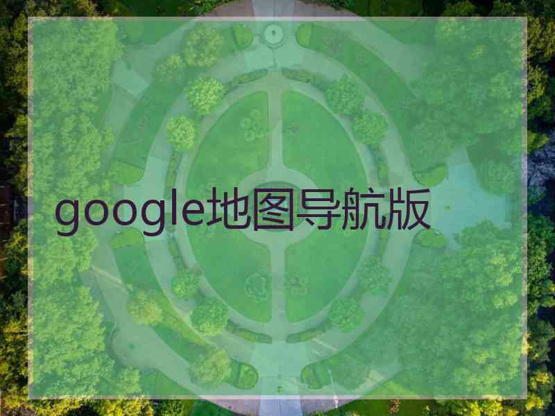 google地图导航版