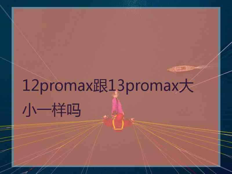 12promax跟13promax大小一样吗