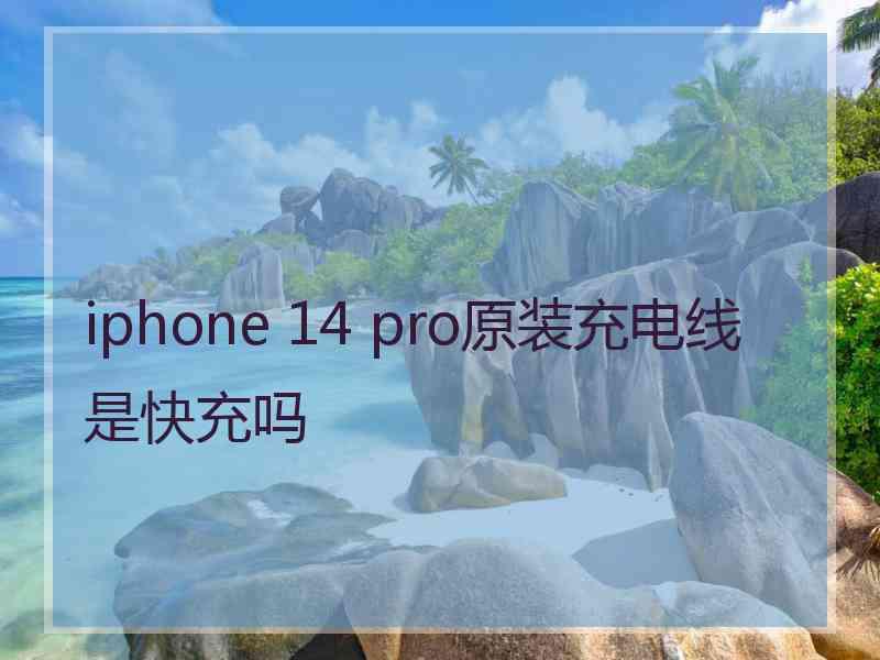 iphone 14 pro原装充电线是快充吗