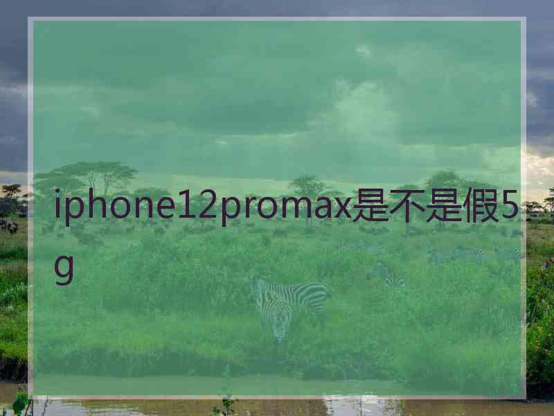 iphone12promax是不是假5g