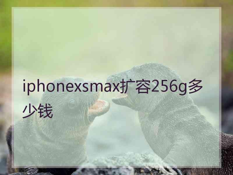 iphonexsmax扩容256g多少钱