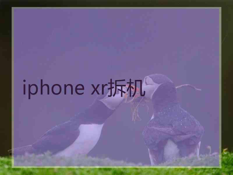 iphone xr拆机