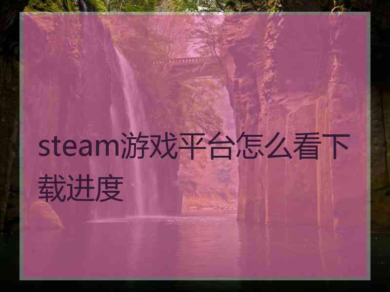 steam游戏平台怎么看下载进度