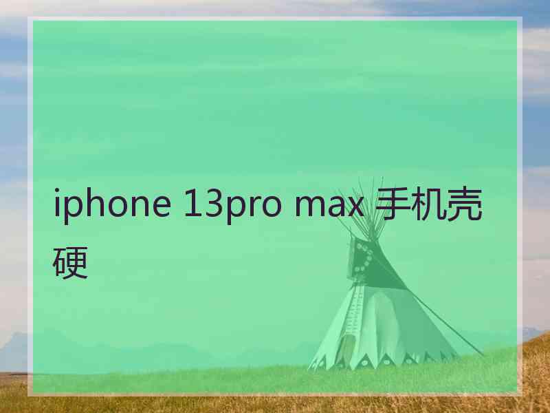 iphone 13pro max 手机壳硬