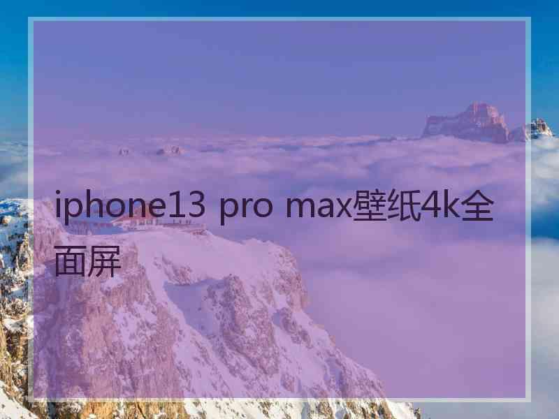 iphone13 pro max壁纸4k全面屏