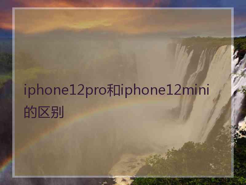 iphone12pro和iphone12mini的区别