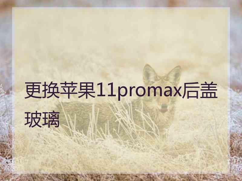 更换苹果11promax后盖玻璃