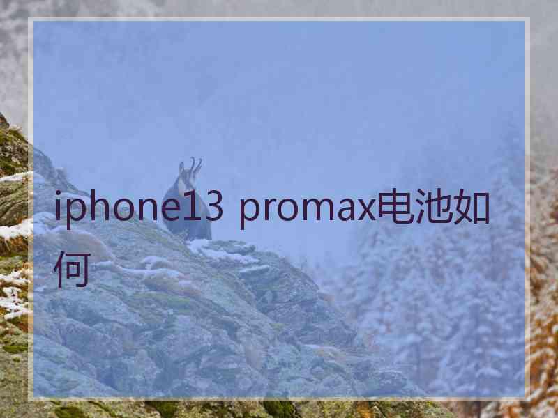 iphone13 promax电池如何