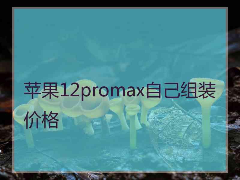 苹果12promax自己组装价格