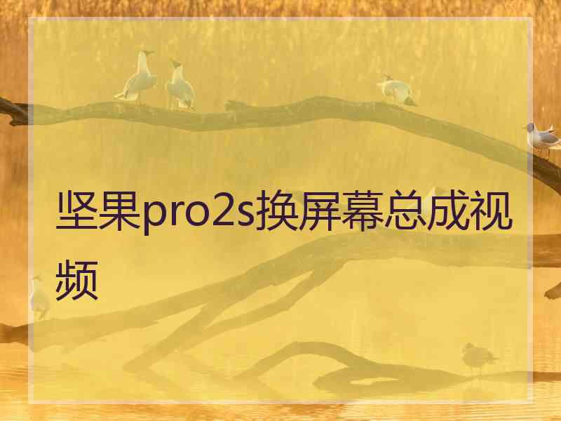 坚果pro2s换屏幕总成视频