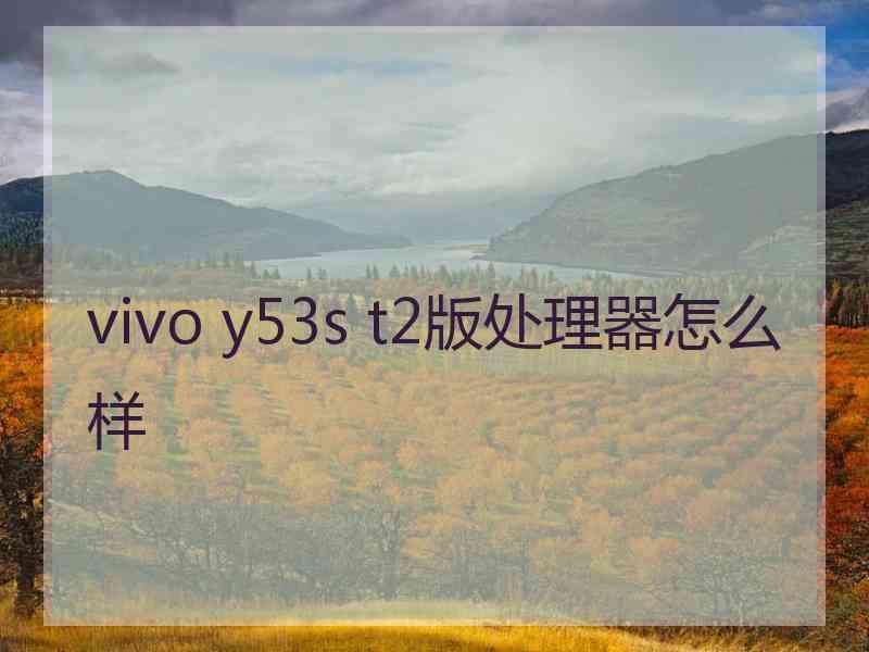 vivo y53s t2版处理器怎么样