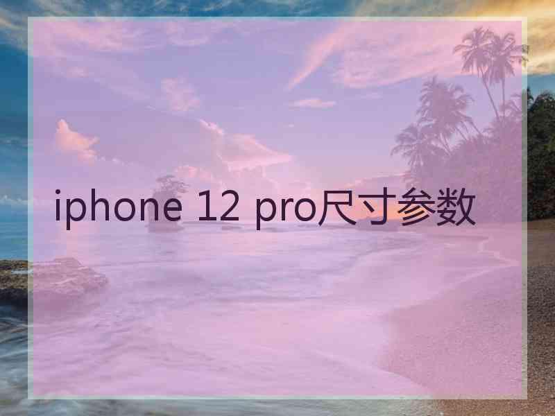 iphone 12 pro尺寸参数