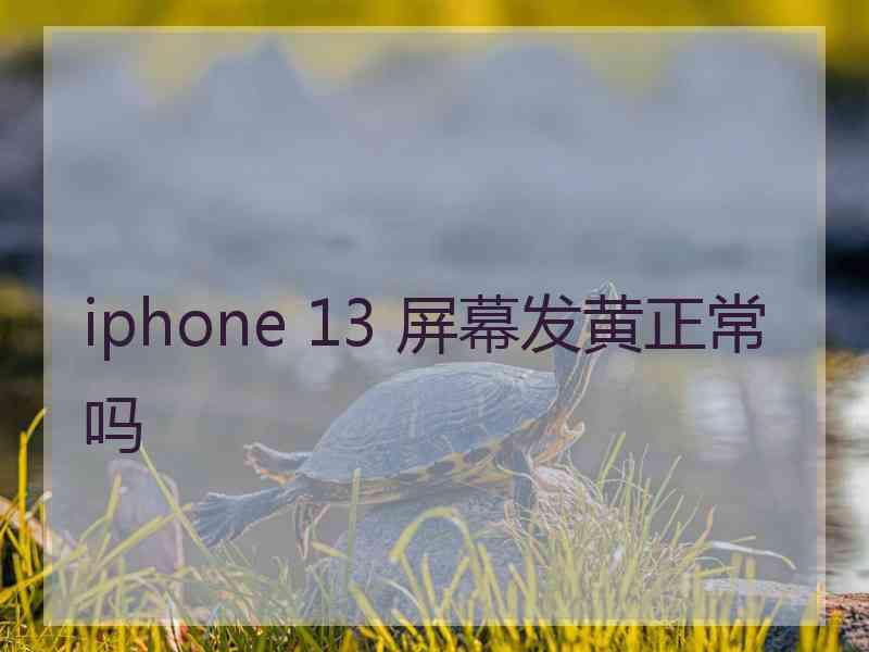 iphone 13 屏幕发黄正常吗