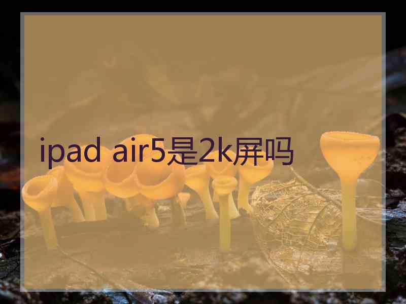 ipad air5是2k屏吗