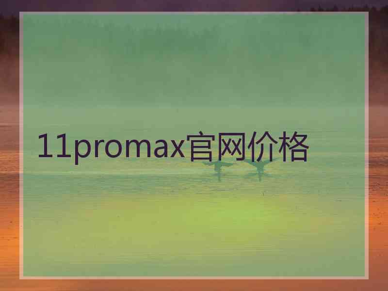 11promax官网价格