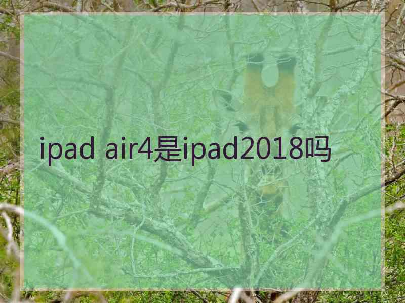 ipad air4是ipad2018吗