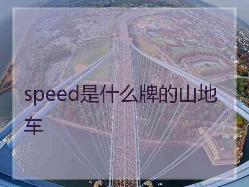 speed是什么牌的山地车