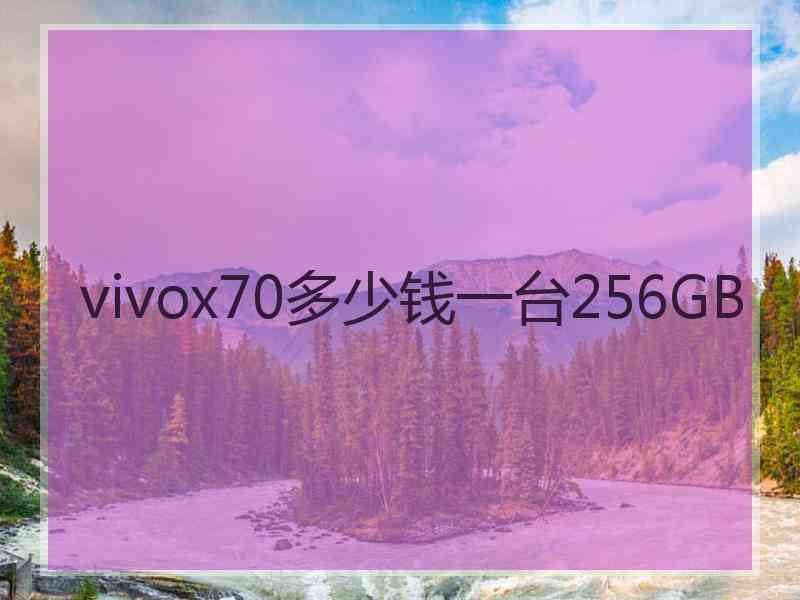 vivox70多少钱一台256GB