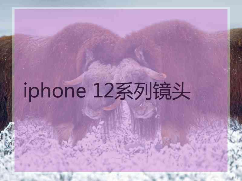 iphone 12系列镜头