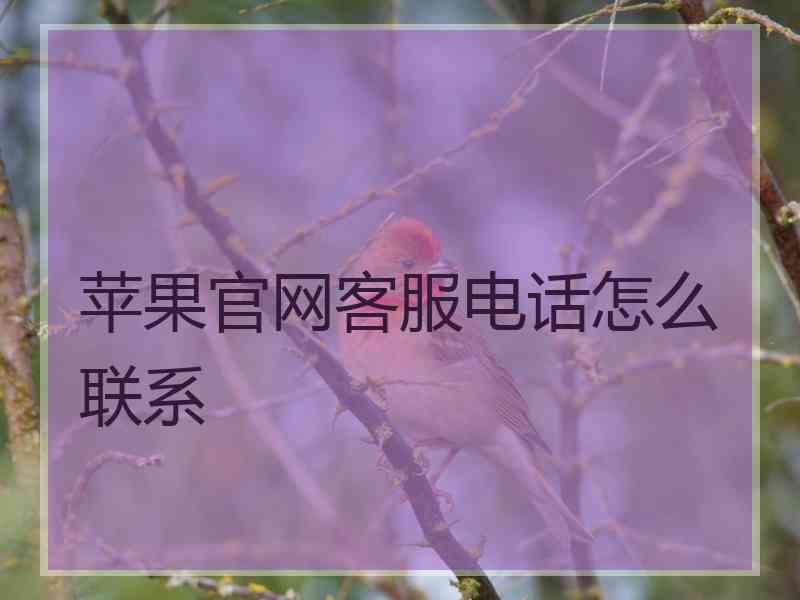 苹果官网客服电话怎么联系