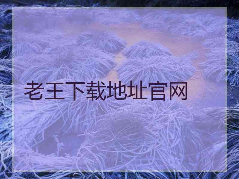 老王下载地址官网