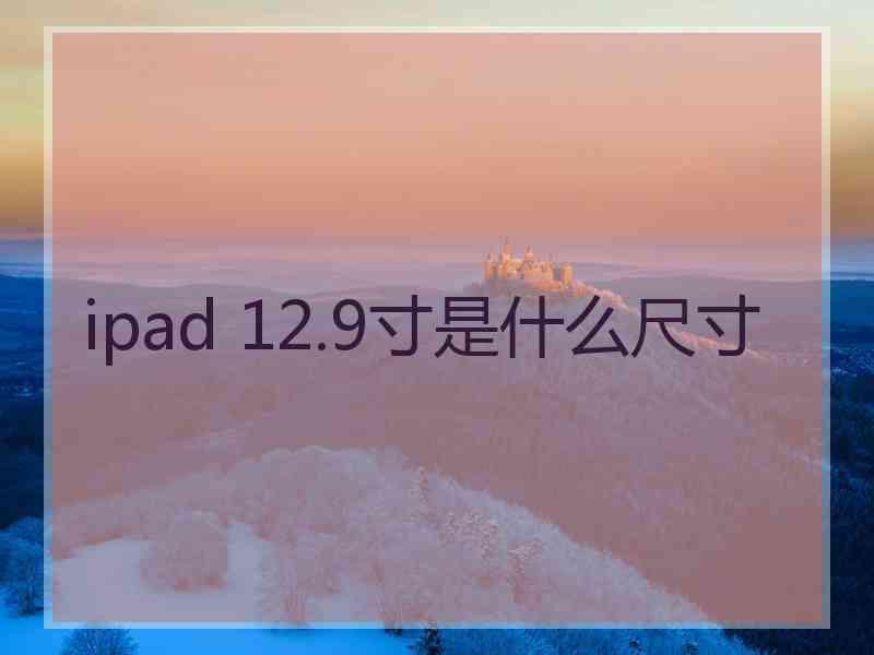 ipad 12.9寸是什么尺寸