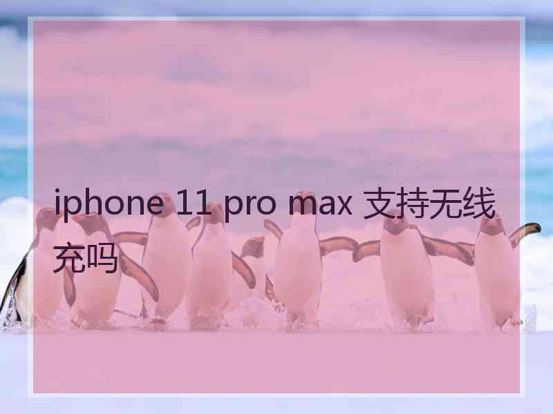 iphone 11 pro max 支持无线充吗