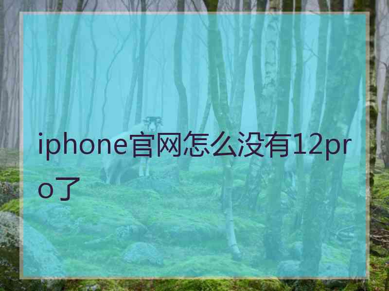 iphone官网怎么没有12pro了