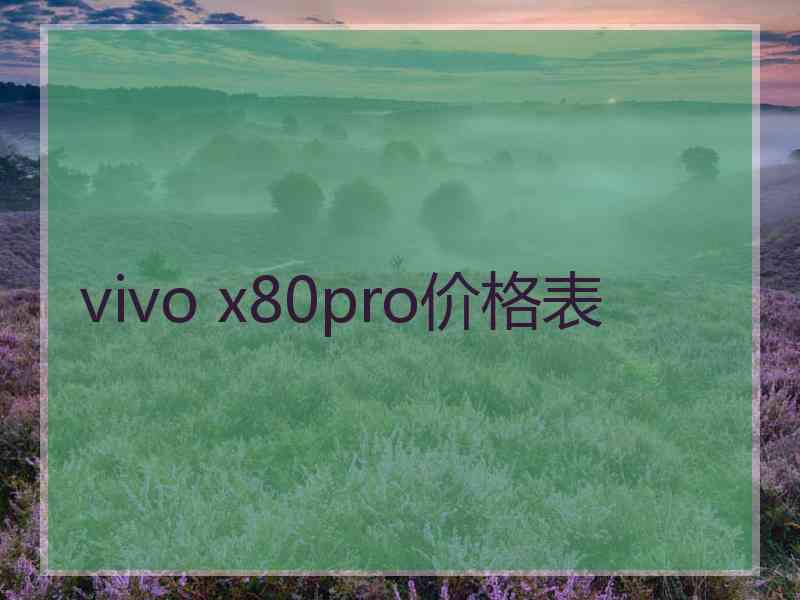 vivo x80pro价格表