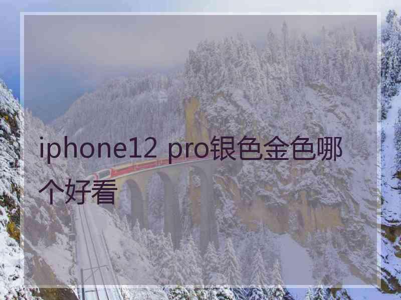 iphone12 pro银色金色哪个好看