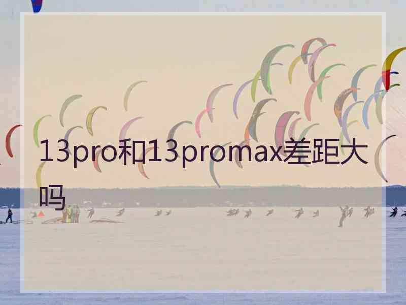 13pro和13promax差距大吗