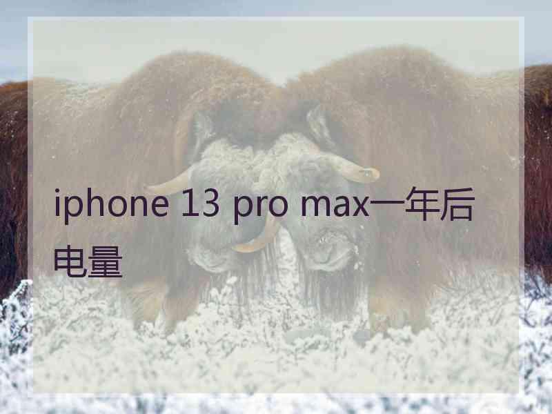 iphone 13 pro max一年后电量