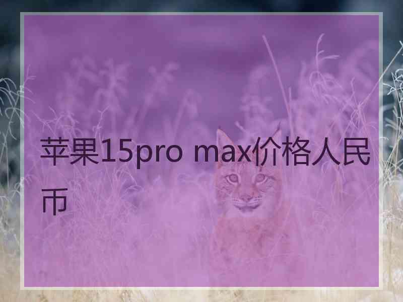 苹果15pro max价格人民币