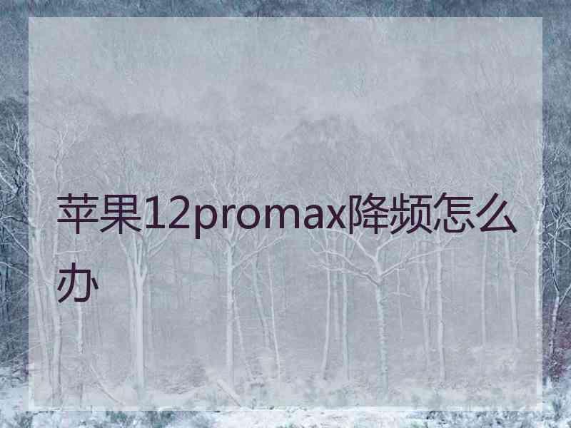 苹果12promax降频怎么办