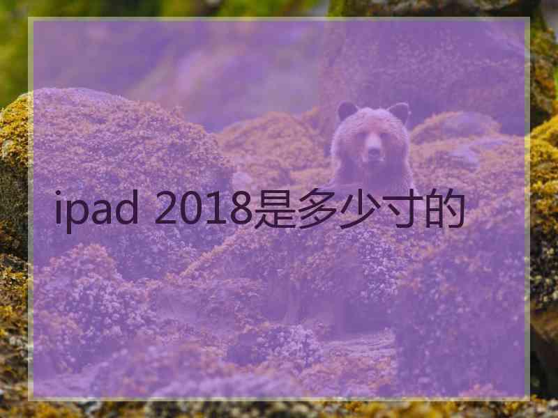 ipad 2018是多少寸的