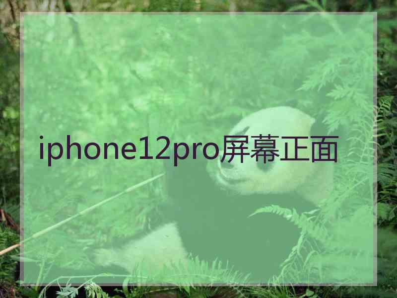 iphone12pro屏幕正面