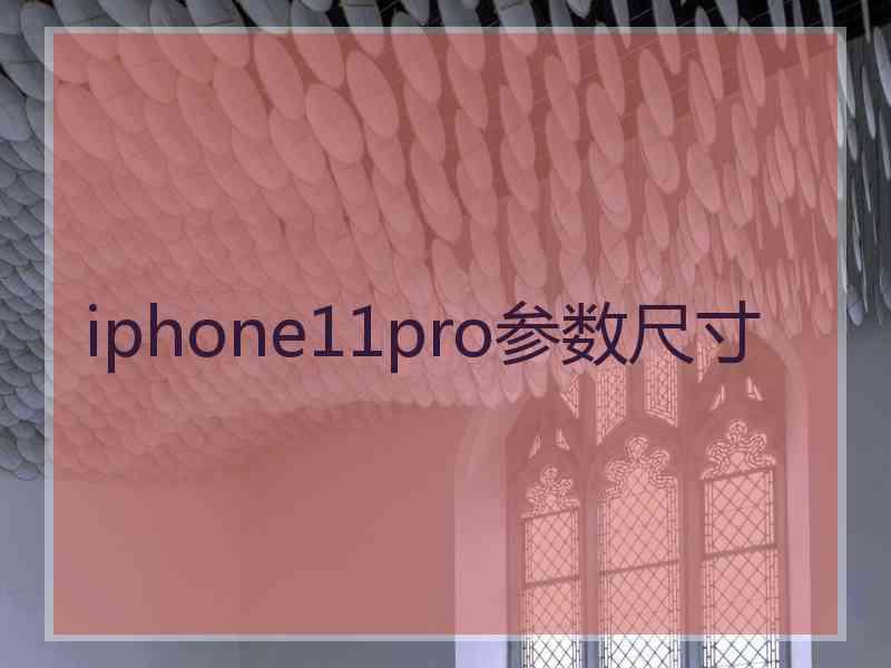 iphone11pro参数尺寸