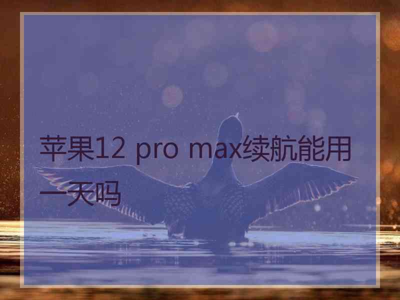 苹果12 pro max续航能用一天吗