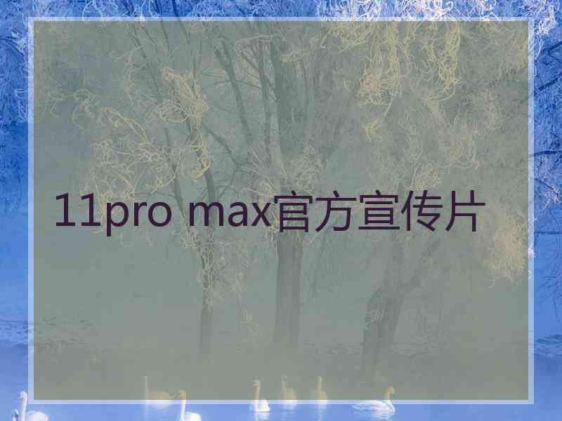 11pro max官方宣传片