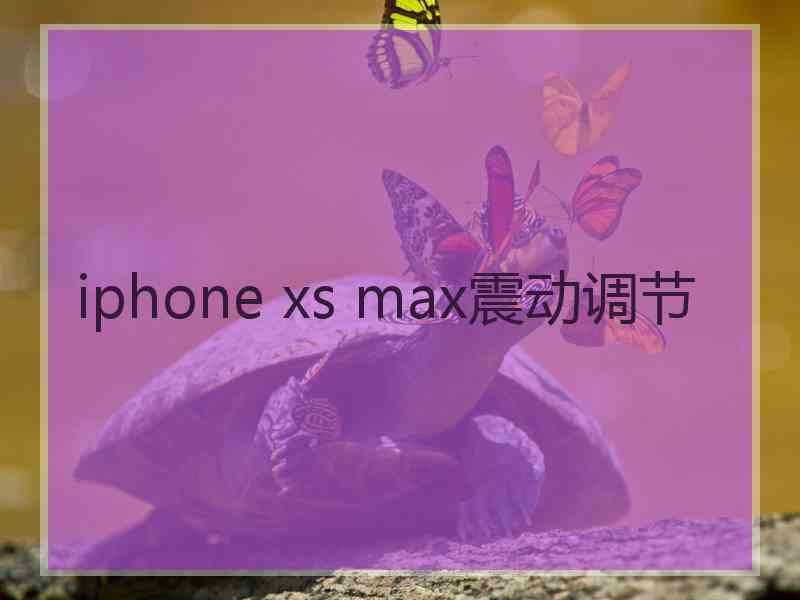 iphone xs max震动调节